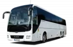 Lion S Coach