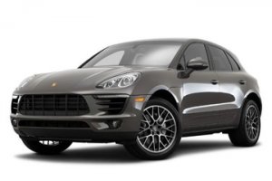 Macan