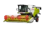 Dominator
