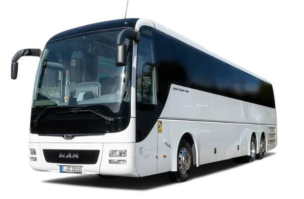Lion S Coach