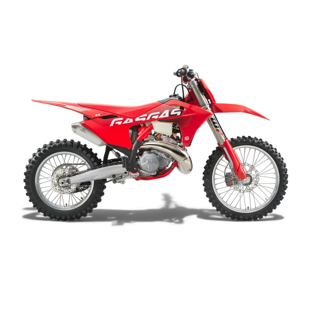 EX 300