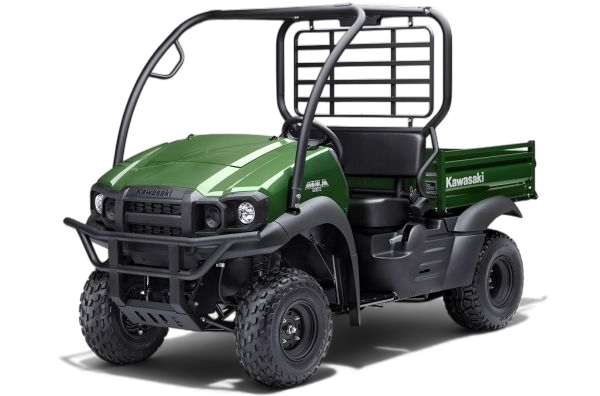 Mule