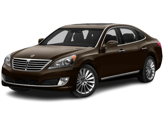Equus