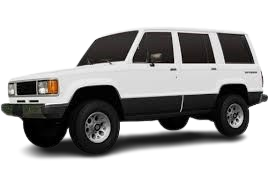 1981-1991