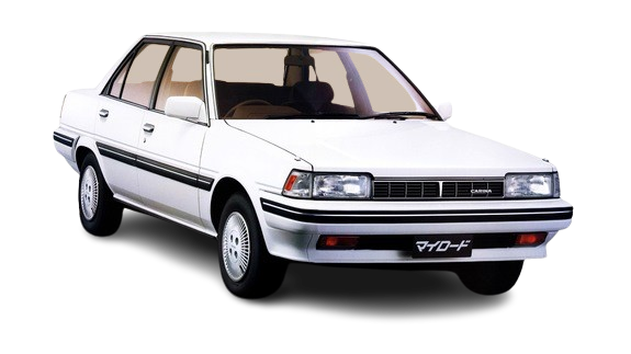 1981-1988