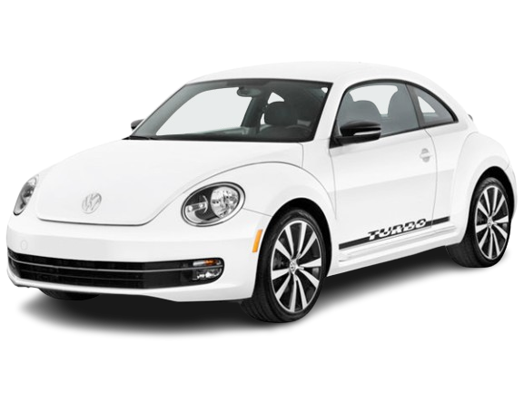 Beetle